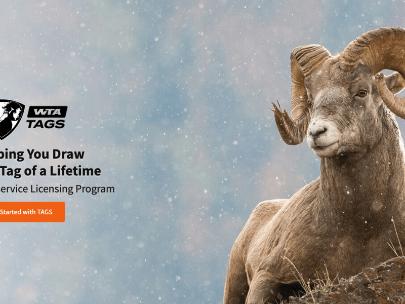 Limited Entry TAGS – Part 1 – Intro and&nbsp;Terms